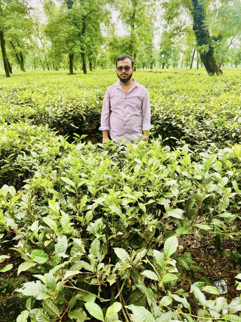 A man in sunglasses and a light purple shirt stands amidst a lush green tea garden, surrounded by vibrant tea plants. Tall trees loom in the background under a cloudy sky—a perfect travel spot for students seeking serene natural beauty and tranquility.